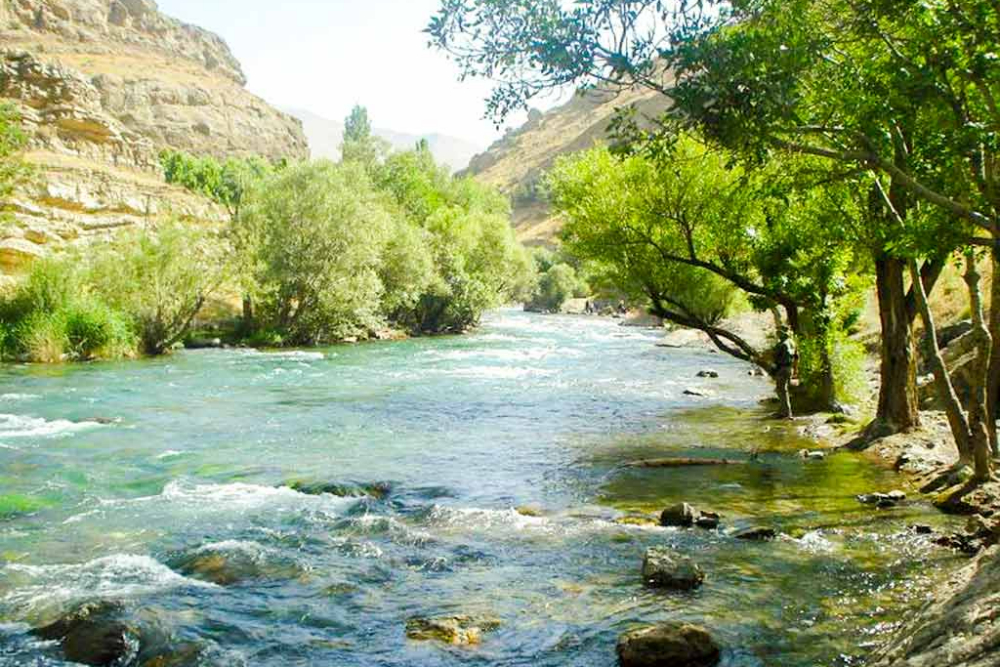 بوئین+زهرا