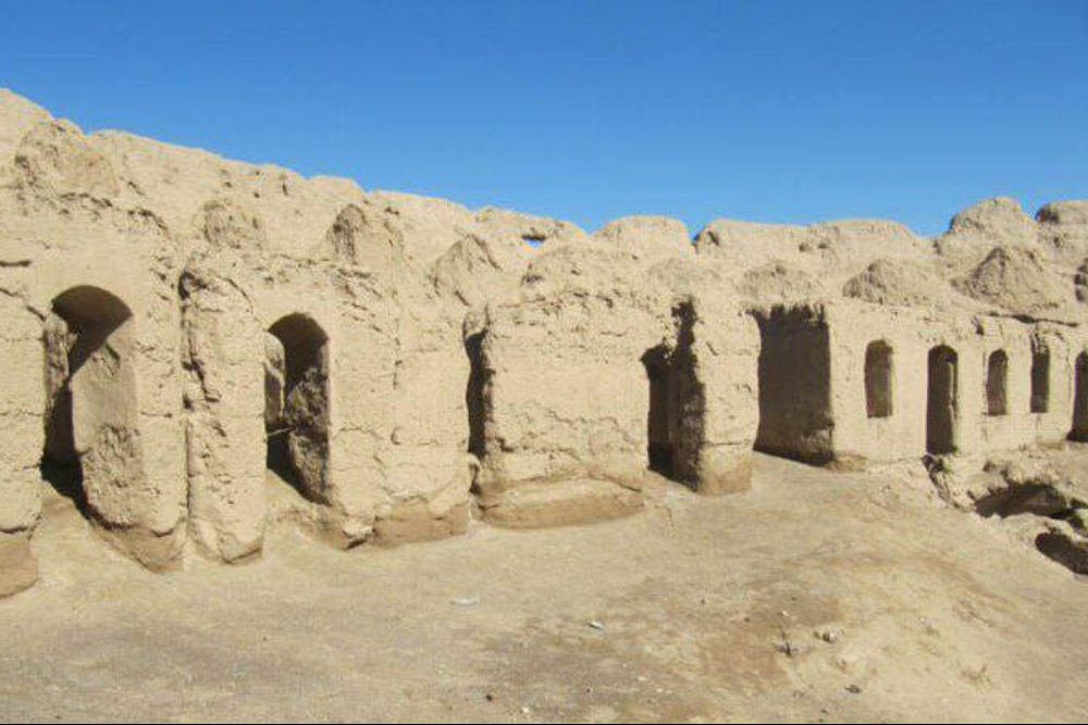 بردسکن