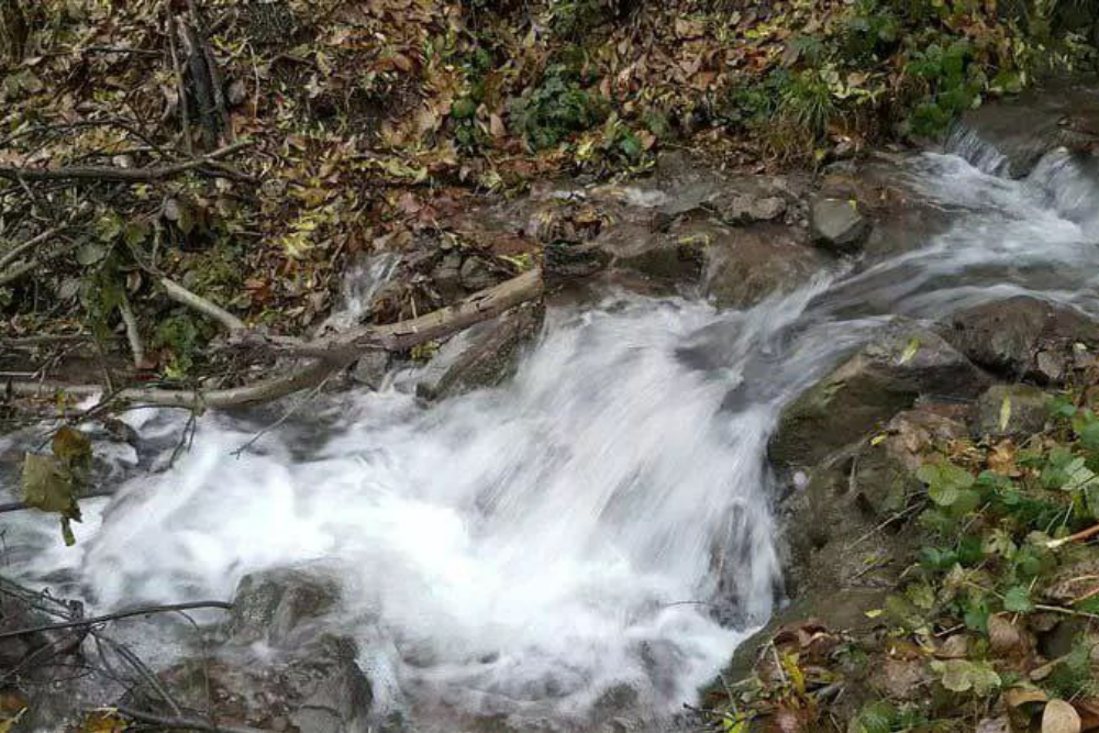 Paveh