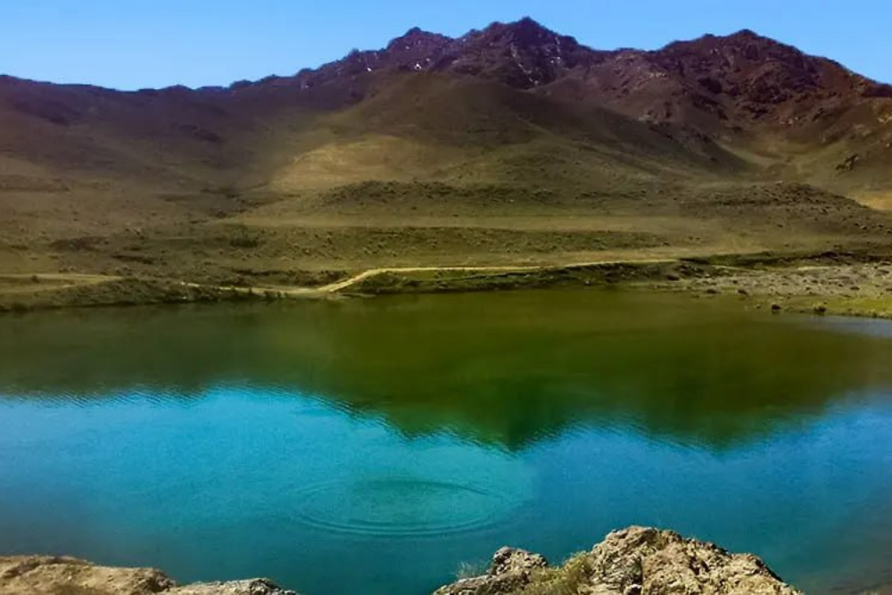 تایباد