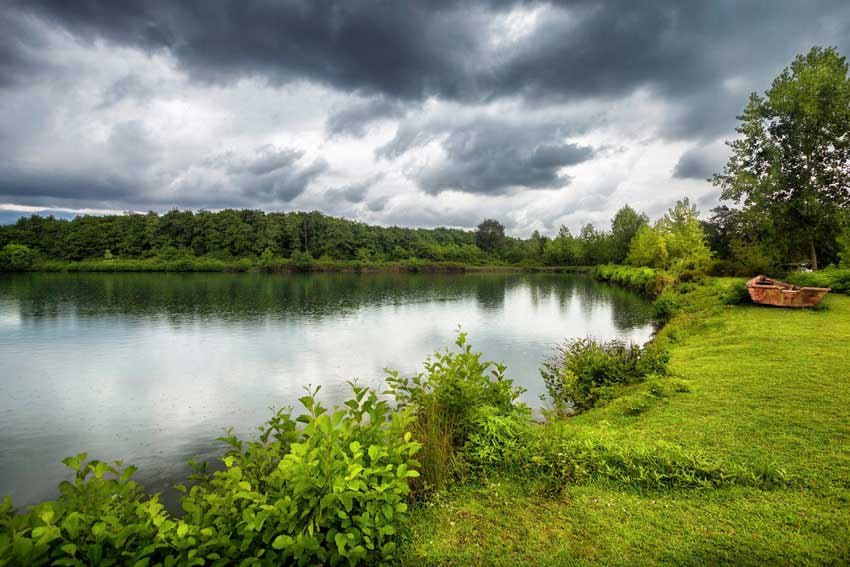 Talesh