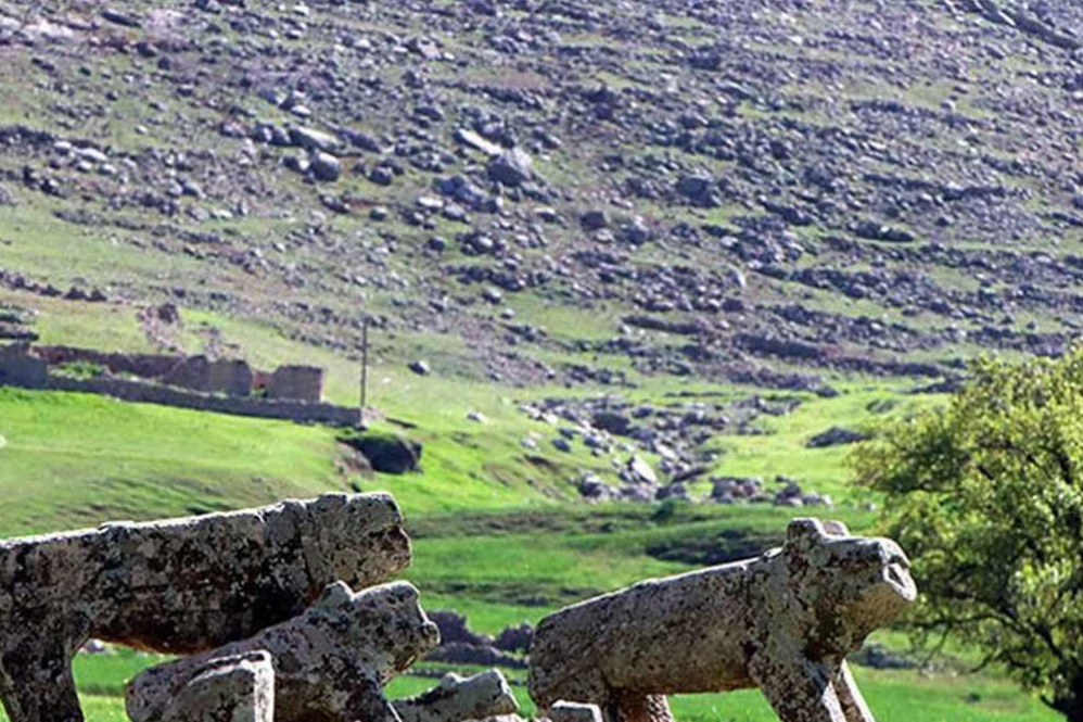 ایران+نما