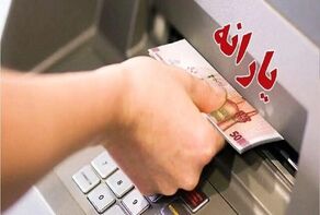 یارانه چه کسانی حذف می‌شود؟ توضیح رئیس سازمان هدفمندسازی یارانه‌ها