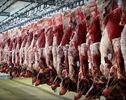 قیمت گوشت گوسفندی و گوساله‌ای امروز پنج‌شنبه ۹ مهر ۱۴۰۵ + جدول قیمت 