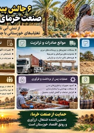 نوراینفو/ ۶ چالش بزرگ صنعت خرمای خوزستان؛ از تنش آبی تا موانع صادرات