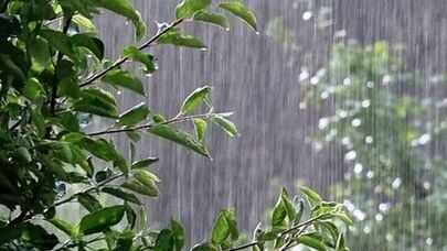 پیش‌بینی هواشناسی کرمان؛ کاهش دما و احتمال رگبار و رعدوبرق تا پایان هفته