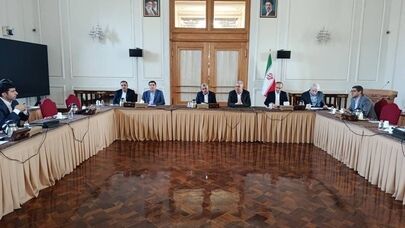 Removing export barriers to Iraq, Pakistan, Afghanistan on agenda: Deputy FM