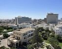موضع مشترک الجزایر، مصر و تونس درباره لیبی؛ مخالفت با مداخله خارجی