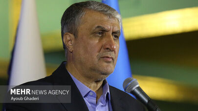 IAEA failed to back peaceful use of nuclear energy: Eslami