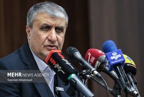 Iran's nuclear tech. potentials 'par with advanced nations'
