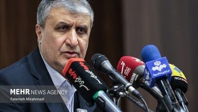 Iran's nuclear tech. potentials 'par with advanced nations'