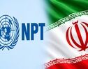 NPT Debate Resurfaces: Withdraw or Remain?