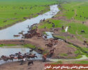 نورنما | دشت اسب های وحشی روستای جیرسر ،گیلان