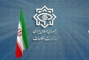 وزارة الأمن الإیرانیة: تفکیک 4 شبکات تخریبیة

