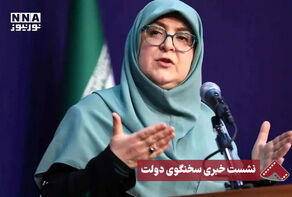 واکنش سخنگوی دولت درخصوص توهین بابک زنجانی به فرزین: این قضیه نباید تکرار شود+فیلم