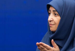 شینا انصاری : تا 60 درصد پست‌های محیط‌بانی خالیست