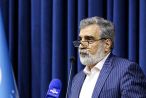 US opposes resolution on prohibition of attacking nuclear facilities: Iran