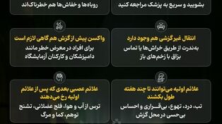 نوراینفو| هشت نکته مهم درباره هاری !