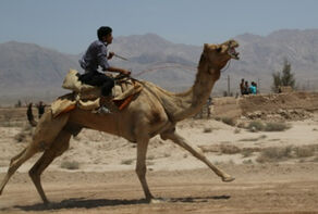 Introduction to Tourist Attractions of Iranian Cities