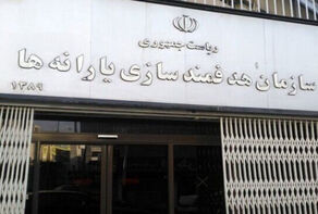 رئیس امور اطلاع‌رسانی دولت: دولت ابداً به اتباع خارجی یارانه نمی‌دهد
