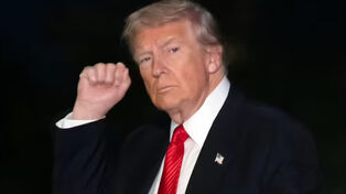 特朗普对安理会通过美国关于加沙问题的决议的反应