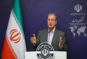 ربيعي: ضمير الانسانية العالمي انتفض بوجه وحشية الكيان الصهيوني