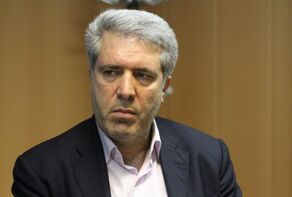 ٢٧٠٠شی تاریخی به کشور بازگردانده شد/آغاز به کار مرکز فرهنگی سعدی