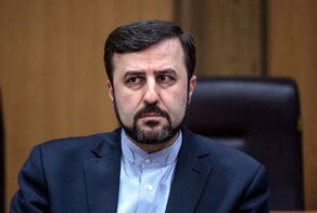 غریب آبادی: اروپایی‌ها به سیاست دوگانه و مخرب خود در حوزه تروریسم پایان دهند