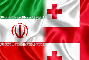 Встреча посла Ирана в Тбилиси с замглавы МВД Грузии