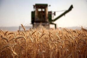 5 اقدام مهم دولت سیزدهم در بخش کشاورزی