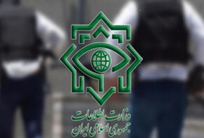 القوى الأمنية تضبط جاسوساً سويدياً