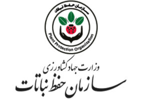 آقای رئیس جمهور؛ این گوی و این میدان