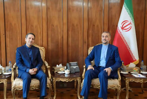 Iran FM urges more interactions with Iranians living in Russia’s Tatarstan