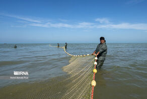 Iran to use UNIDO’s know-how in aquaculture to boost fishery industry