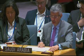 Saudi Arabia demands approval of resolution against Israel in Security Council