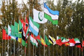 Iran's trade with OIC hit $61b: IRICA