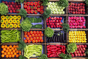 Iran’s annual exports of agricultural products exceeds $6.2 billion