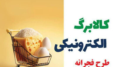 وزیر کار: طرح فجرانه کالابرگ الکترونیک تداوم می‌یابد