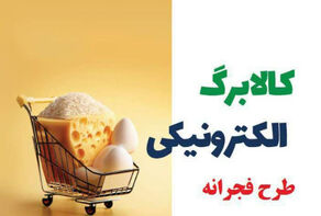 وزیر کار: طرح فجرانه کالابرگ الکترونیک تداوم می‌یابد