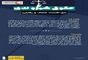 نوراینفو | حقوق شهروندی ( حق اقتصاد شفاف و رقابتی )