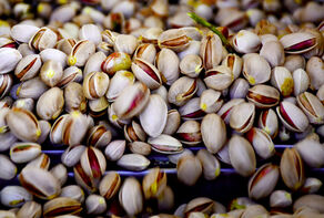 Iran pistachio exports to EU up 17% y/y in first quarter 2024