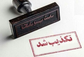 تکذیب حمایت برادر شهید رئیسی از یکی از کاندیداها
