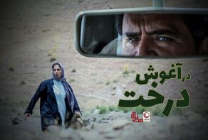 مجله تصویری مدیوم شات؛ نگاهی به رویدادهای فرهنگی و هنری +فیلم