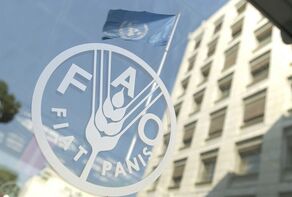 Iran, FAO launch joint initiative to combat climate change