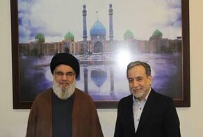 عراقچی: شجره طیبه مقاومت از رشد باز نمی‌ایستد