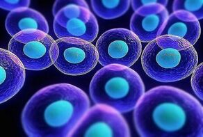 Iranian researchers discover new treatment using stem cells
