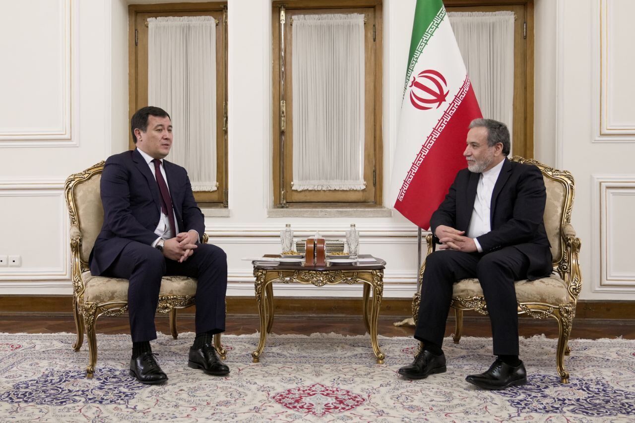 Iran's FM stresses private sector potential in developing economic ties ...