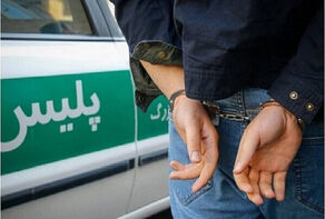 بی رحمی عریان در دل خیابان؛ دزدی از مادر و کودکی بی پناه! +فیلم