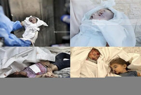 ارتفاع عدد شهداء غزة إلى 53,655 شخصاً