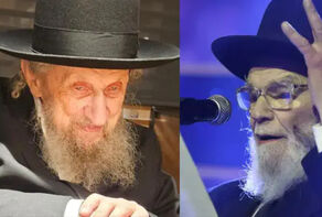 הרבנים הליטאים הורו: דגל התורה תפעל לפיזור הכנסת
